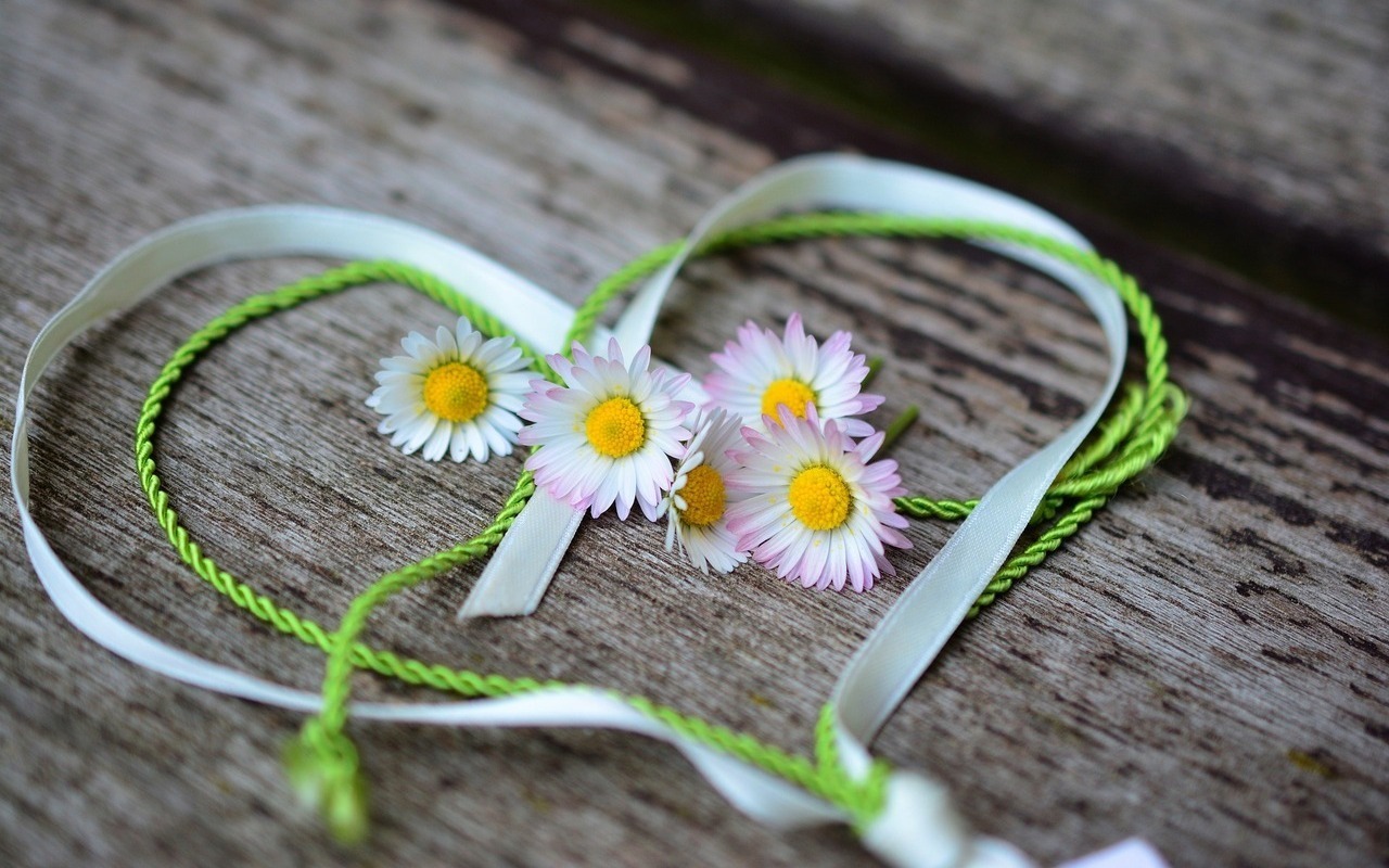 Read more about the article Love: The Universal Answer to a Divided World